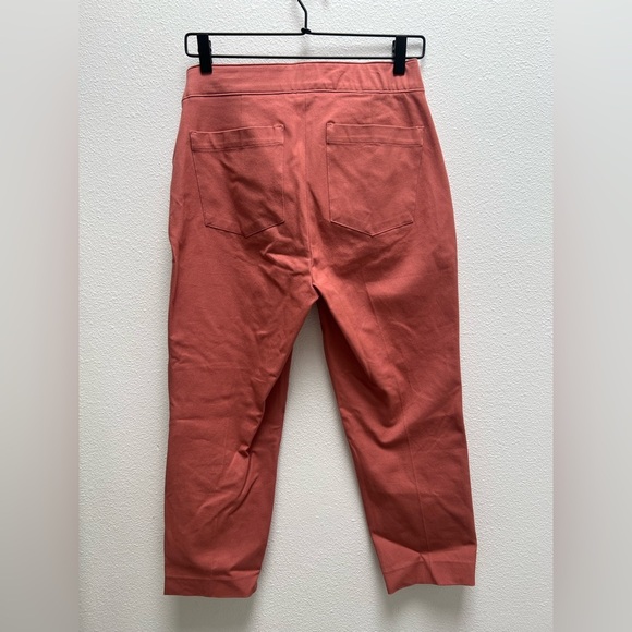 Spanx On-the-Go Ankle Slim Straight Pant
Terracotta Pink Size MP - Picture 2 of 5